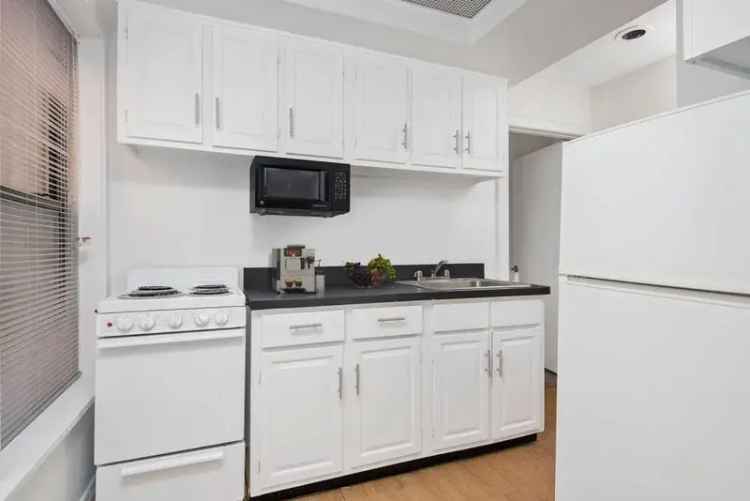 Rent Charming Vintage Apartments Steps from Lincoln Park Chicago