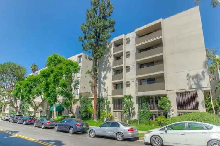 Rent Apartments in Westwood with Modern Amenities and Nearby Attractions