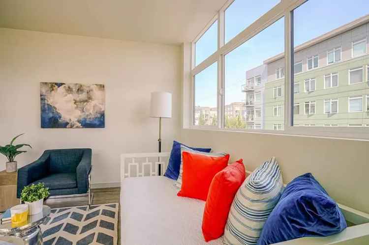 Rent Apartments with Rooftop Deck and Modern Amenities