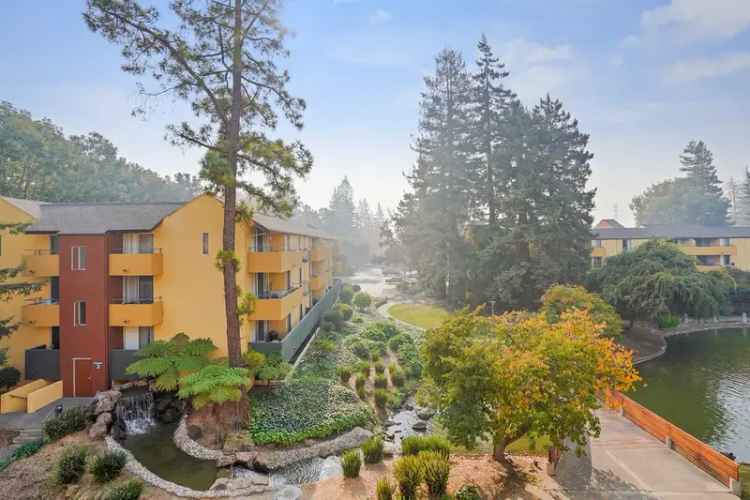 Rent Apartments in Mountain View CA with Modern Amenities