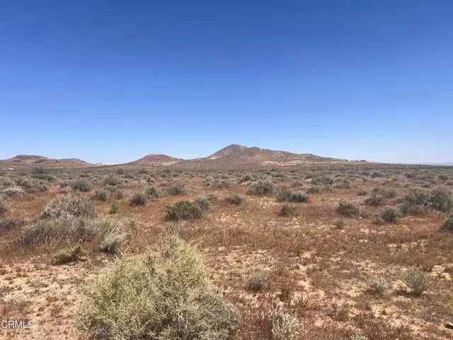 Land For Sale in Rosamond, California