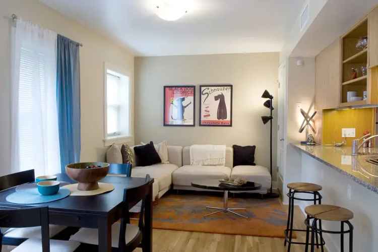 Rent Apartments in Hyde Park with Historic Charm and Modern Amenities