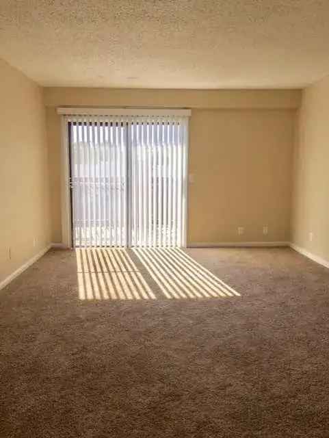 Rent Apartments in Clarksville with Great Location and Amenities