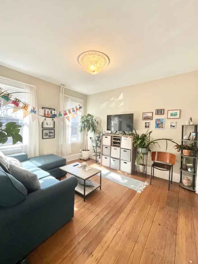 Rent Gorgeous Large and Sunny 3 Bed Apartment Unit