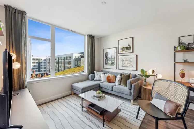 Rent Apartments in South Lake Union with Spacious Layouts and Rooftop Views