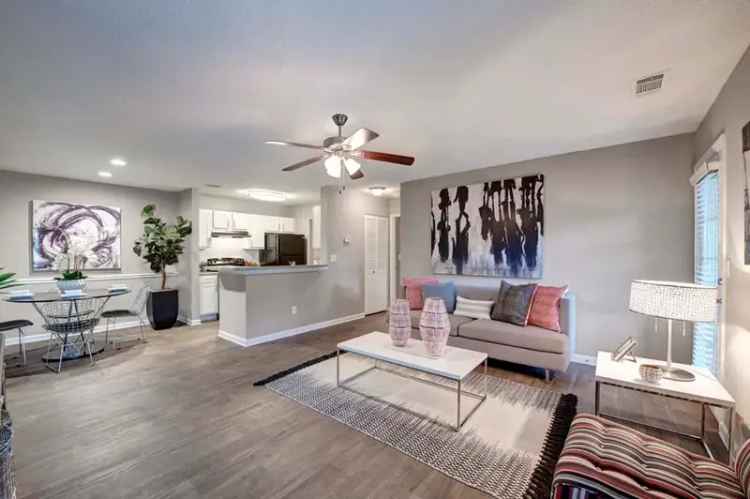 Rent Pet Friendly Apartments Near Hanes Mall with Modern Features