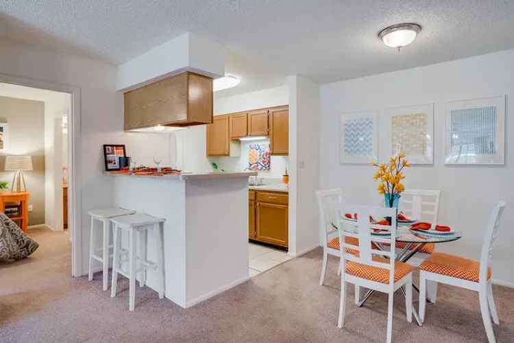 Rent Apartments in Daytona FL with Pet-Friendly Options and Great Location