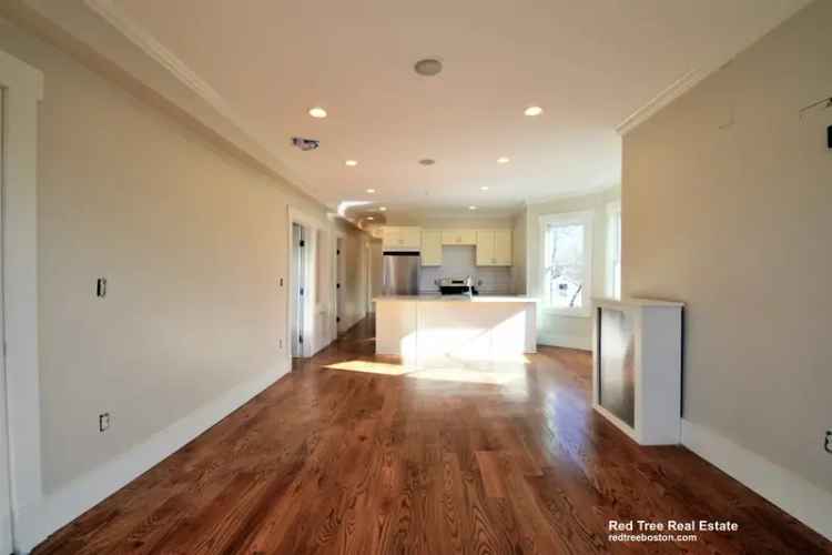 Rent Apartment in Roslindale with Modern Features and Nearby Arboretum