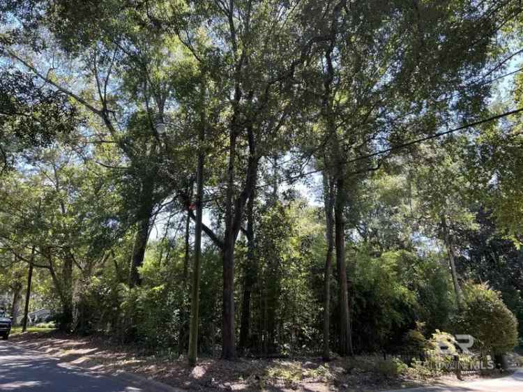 Residential lot for sale in Fairhope with beautiful oak trees