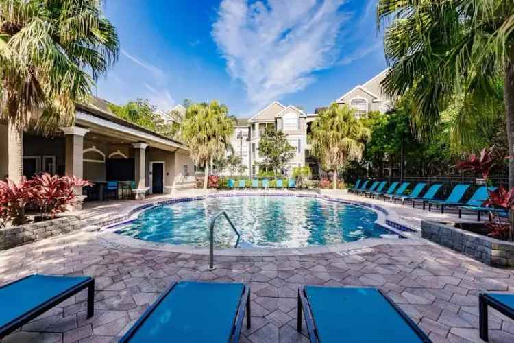 Luxury Apartment Rent Near Clearwater Beach with High End Finishes