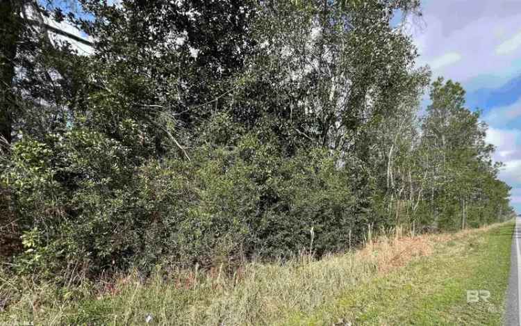 Owner Financing Land for Sale in Elberta with Road Frontage