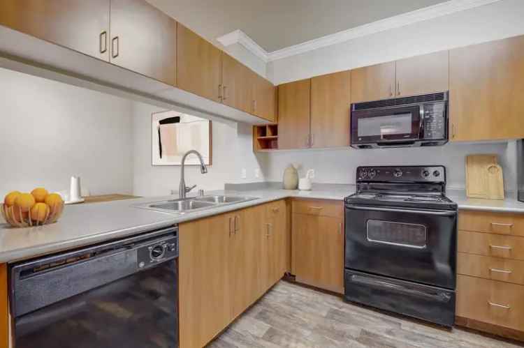 Rent Elegant Apartments in Sacramento with Modern Amenities