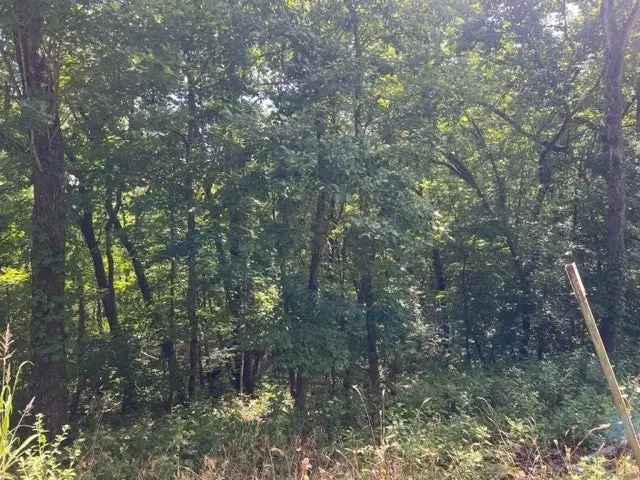 Land For Sale in 63, Stateline Drive, Arkansas