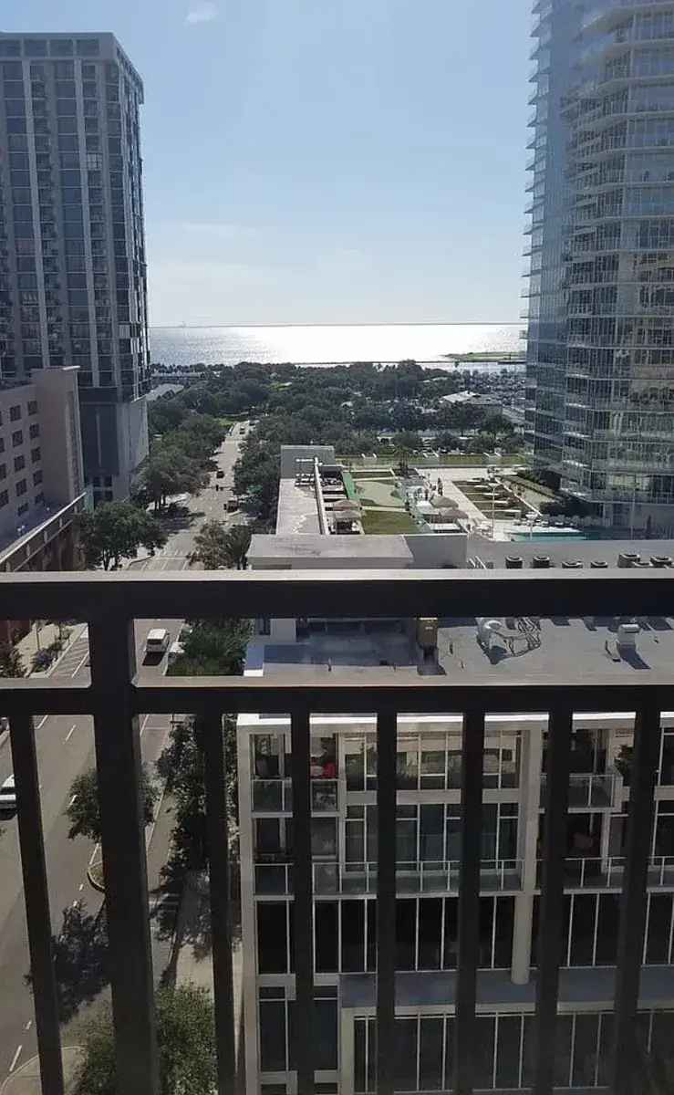 Rent Apartment Unit One Bedroom One Bath with Downtown Views in St. Pete