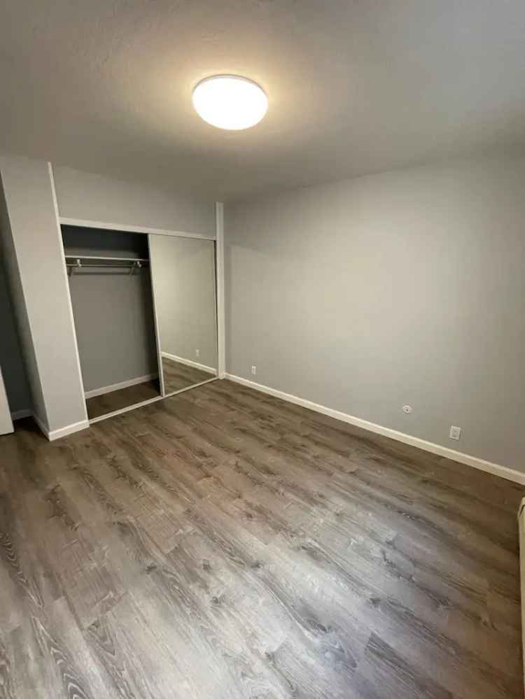 Rent 1 Bedroom Apartment in Nob Hill with Modern Features