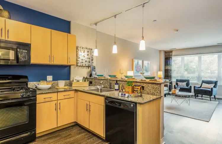 Rent Apartments Near Loyola University Chicago with Modern Amenities