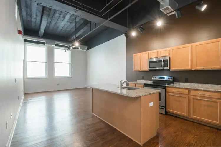 Luxury apartments for rent in center city with modern amenities