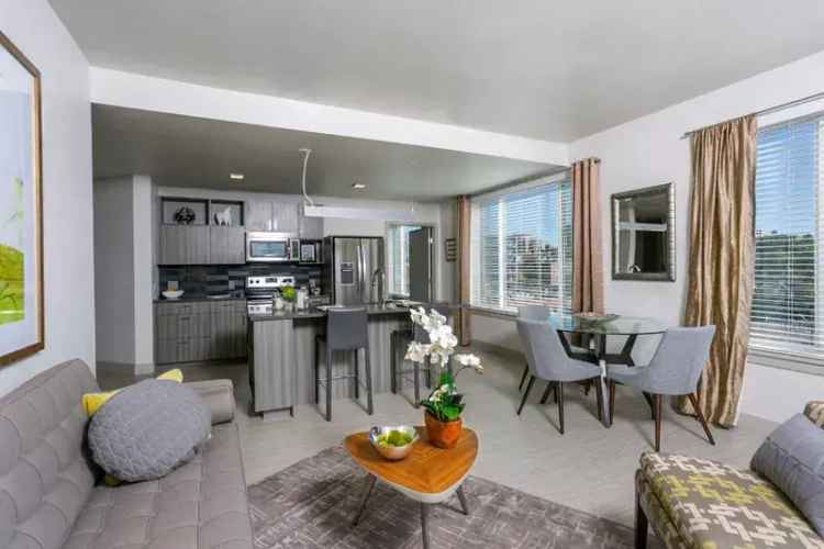 Rent Apartments in Denver with Skyline Views and Luxury Amenities