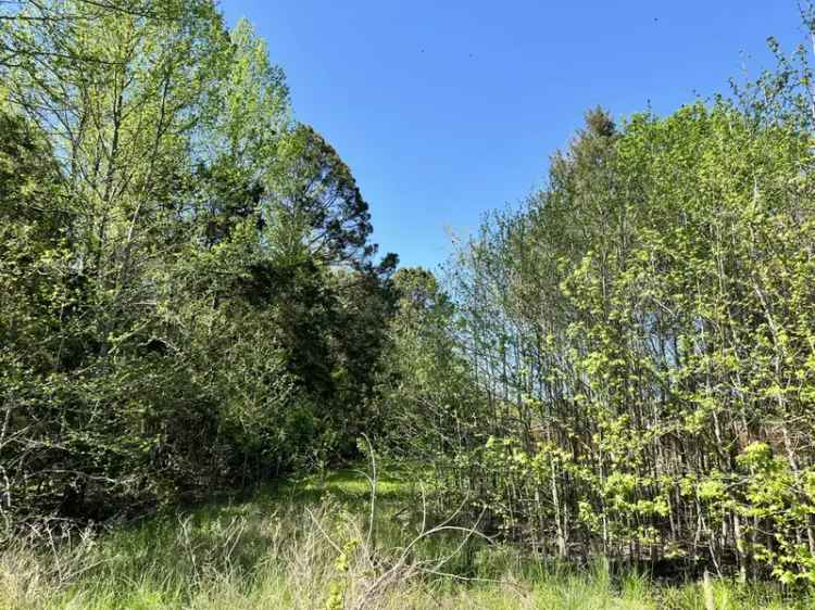 Land For Sale in 9, Timberline Lane, Russellville, Arkansas