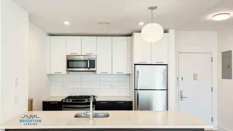 Rent Large 2 Bedroom Apartment in Williamsburg with Modern Amenities