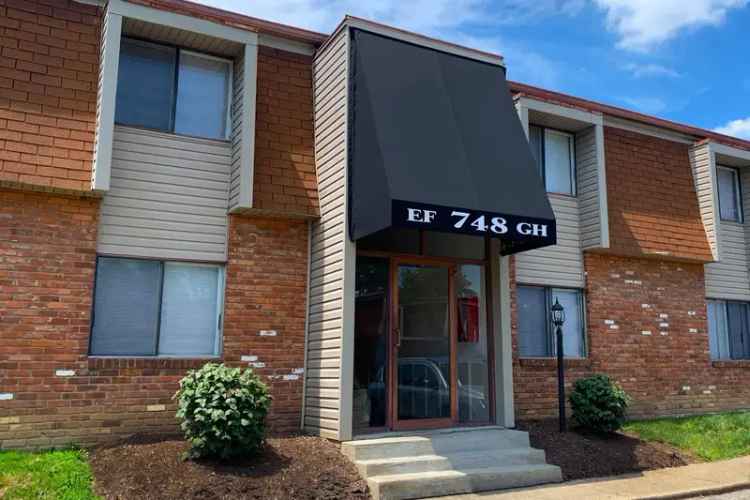 Rent Spacious Pet Friendly Apartments in Withamsville Ohio