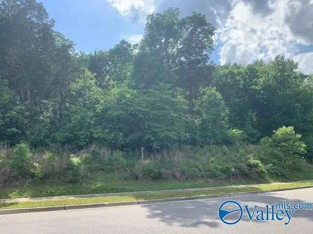 Buy Lot in South Huntsville Oakhurst with Stunning Views and Features