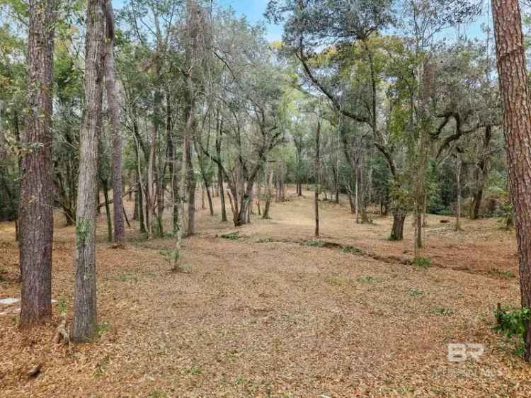 Land For Sale in Daphne, Alabama