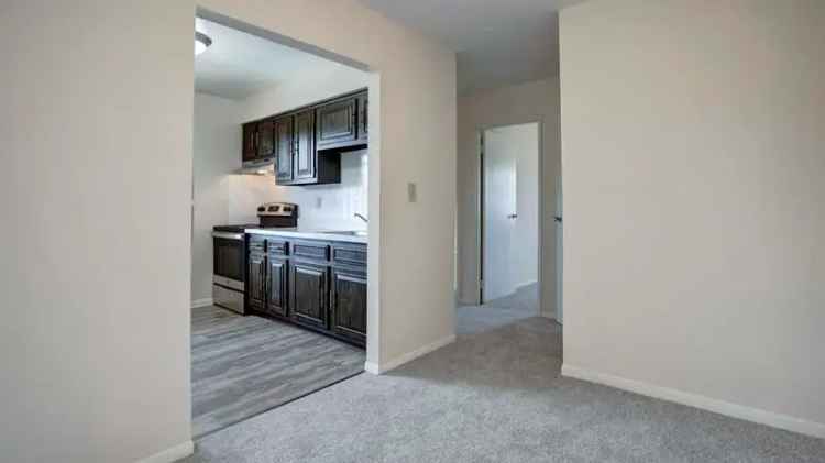 Rent Villa Style Apartments in Washington with Pet Friendly Options