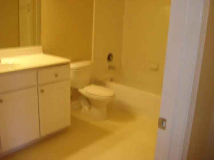 Rent Apartment Unit with Washer and Dryer Included