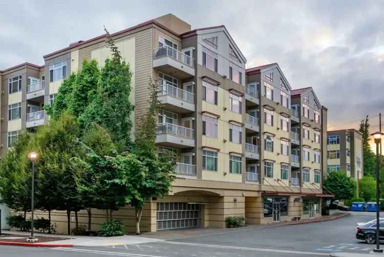 Apartments for Rent in Bellevue with Spacious Designs and Amenities