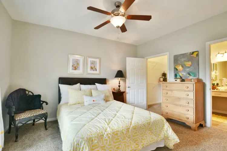 Rent Apartments in Greenville with Modern Amenities and Scenic Views