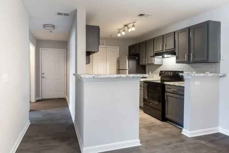 Rent Apartments in Martinez with Pet-Friendly Options and Modern Features