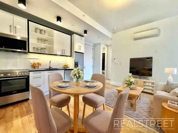 Rent Luxury Penthouse 2 Bedroom in Crown Heights with Roof Deck