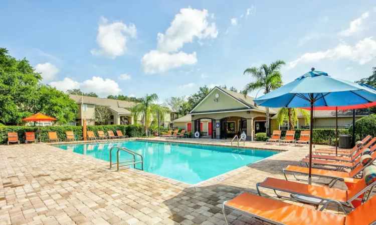 Rent Apartment in Orlando with Trendy Features and Spacious Floor Plans