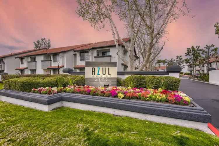 Rent Modern Apartments in Hemet CA with Pet-Friendly Amenities