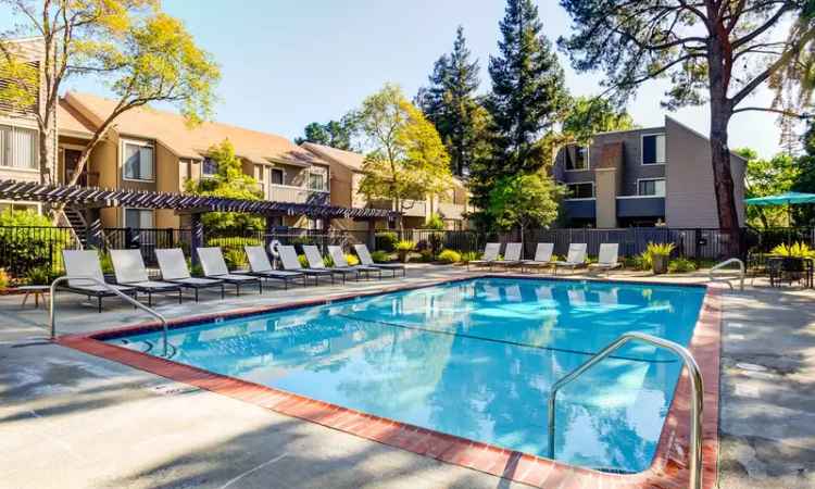 Rent Apartments at The Boulders in a Vibrant Neighborhood