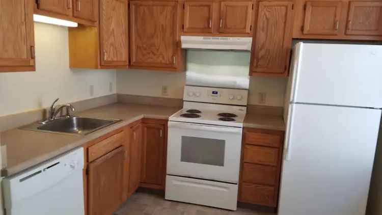 Rent Apartments with In-Unit Laundry and Pet Friendly Options