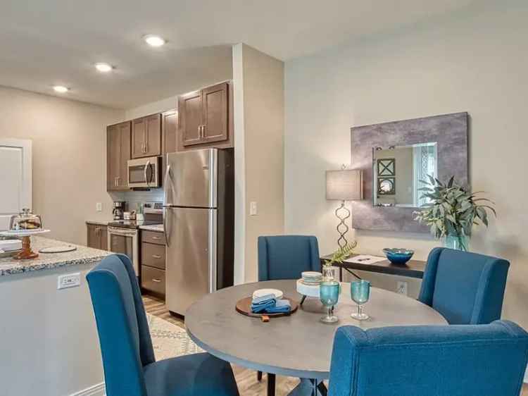 Rent Sapphire Apartments in Midlothian with Pet-Friendly Amenities