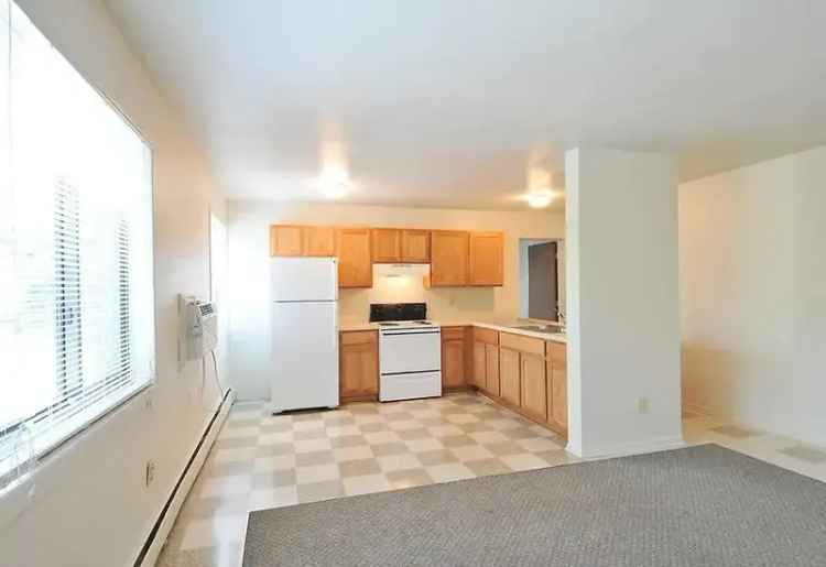 Rent Updated Studio and 1 to 3 Bedroom Apartments in South Minneapolis