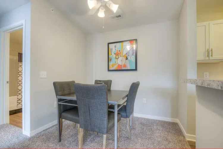 Pet Friendly Apartments for Rent in Omaha with Modern Amenities