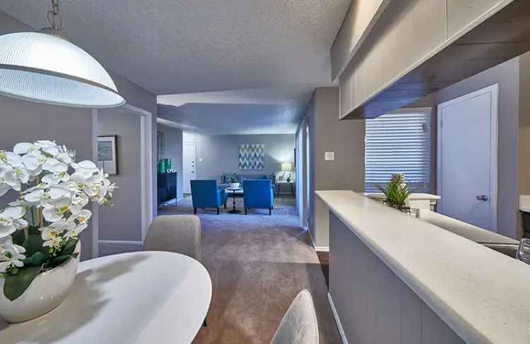 Rent Apartments in Plano with Stylish Interiors and Great Amenities