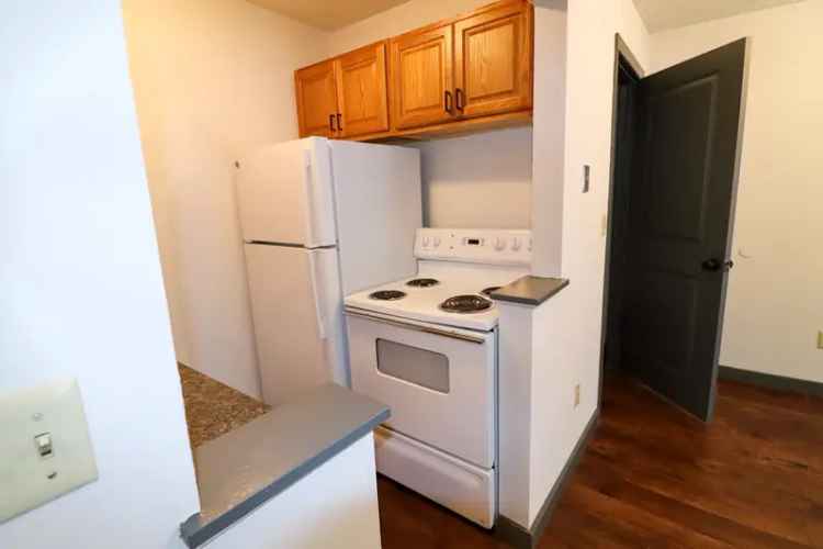 Rent Spacious 1 Bedroom Apartment with Amenities