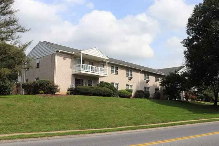 Rent Apartments in Lancaster County with Pet Friendly Features