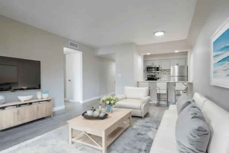 Rent Apartments in Tempe with Modern Design and Great Amenities