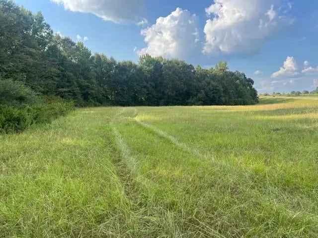 Buy Multi-Use Land in Opp AL with Farm Animals Allowed and Beautiful Surroundings