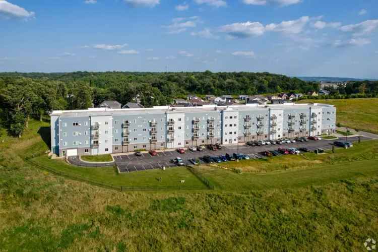 Rent Apartments Near Downtown Rochester with Spacious Units and Pet Friendly Policy