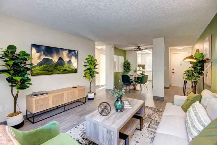 Rent Apartments in Federal Way WA with Features Like Dog Park and Pool