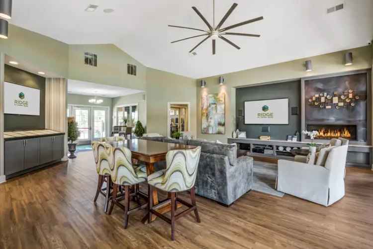 Rent Modern Apartments in Historic Easley with Stunning Features