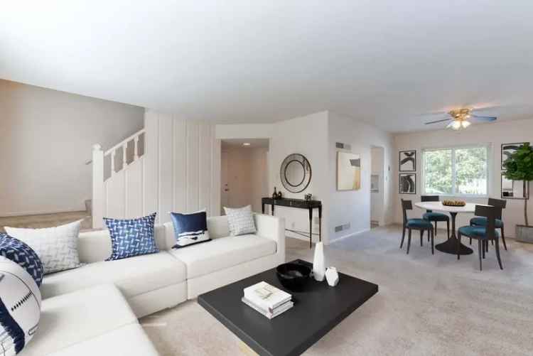 Rent Apartments in San Mateo with Modern Amenities and Pet-Friendly Features