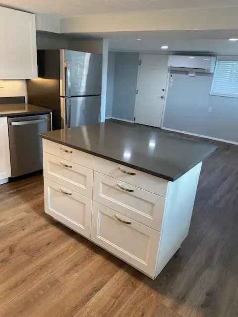 Rent Modern Apartment Unit Near Downtown with Upgrades and Specials